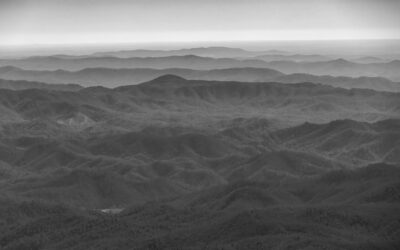 NC Battery and Energy Storage Value Chain Industry Partnership