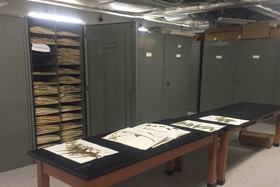 Herbarium