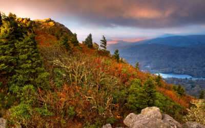 Scenic view at Grandfather Mountain.